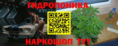 Альфа ПВП Кимры