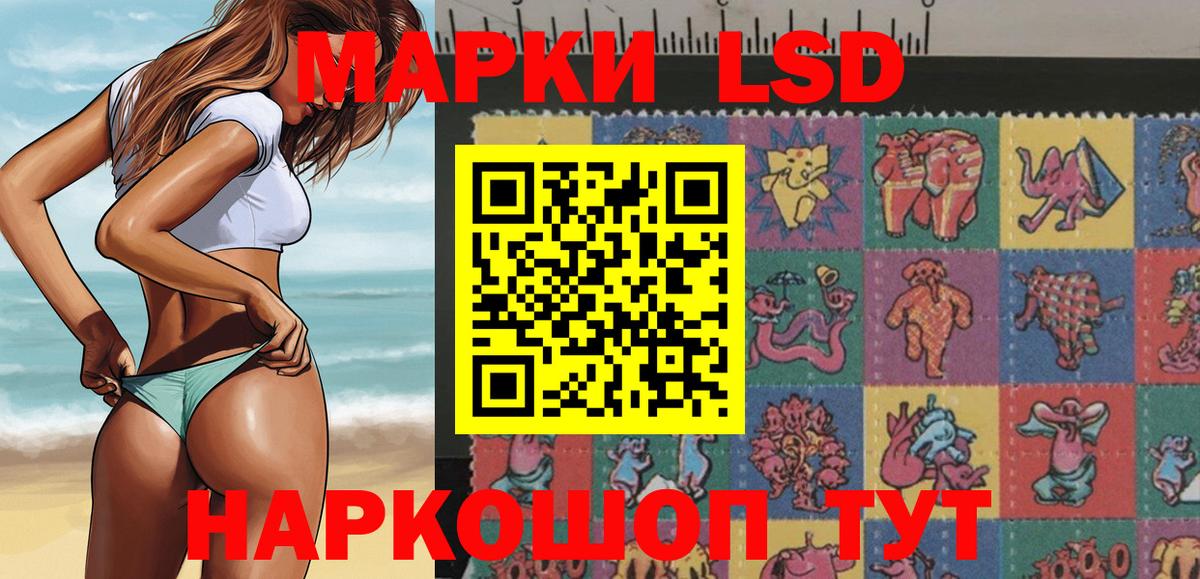 Наркотические марки 1500мкг  Вход с VPN  Наркотические марки 1500мкг  Лесной 