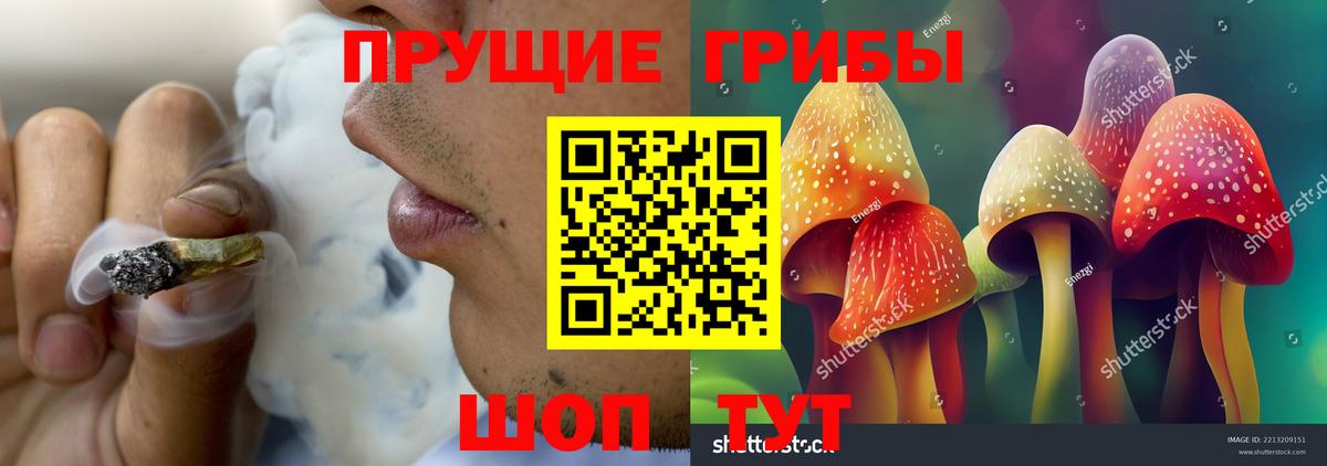 Галлюциногенные грибы GOLDEN TEACHER  Вход с VPN  Лесной  Галлюциногенные грибы мухоморы 